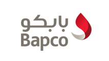 web development, bahrain, bapco, information village